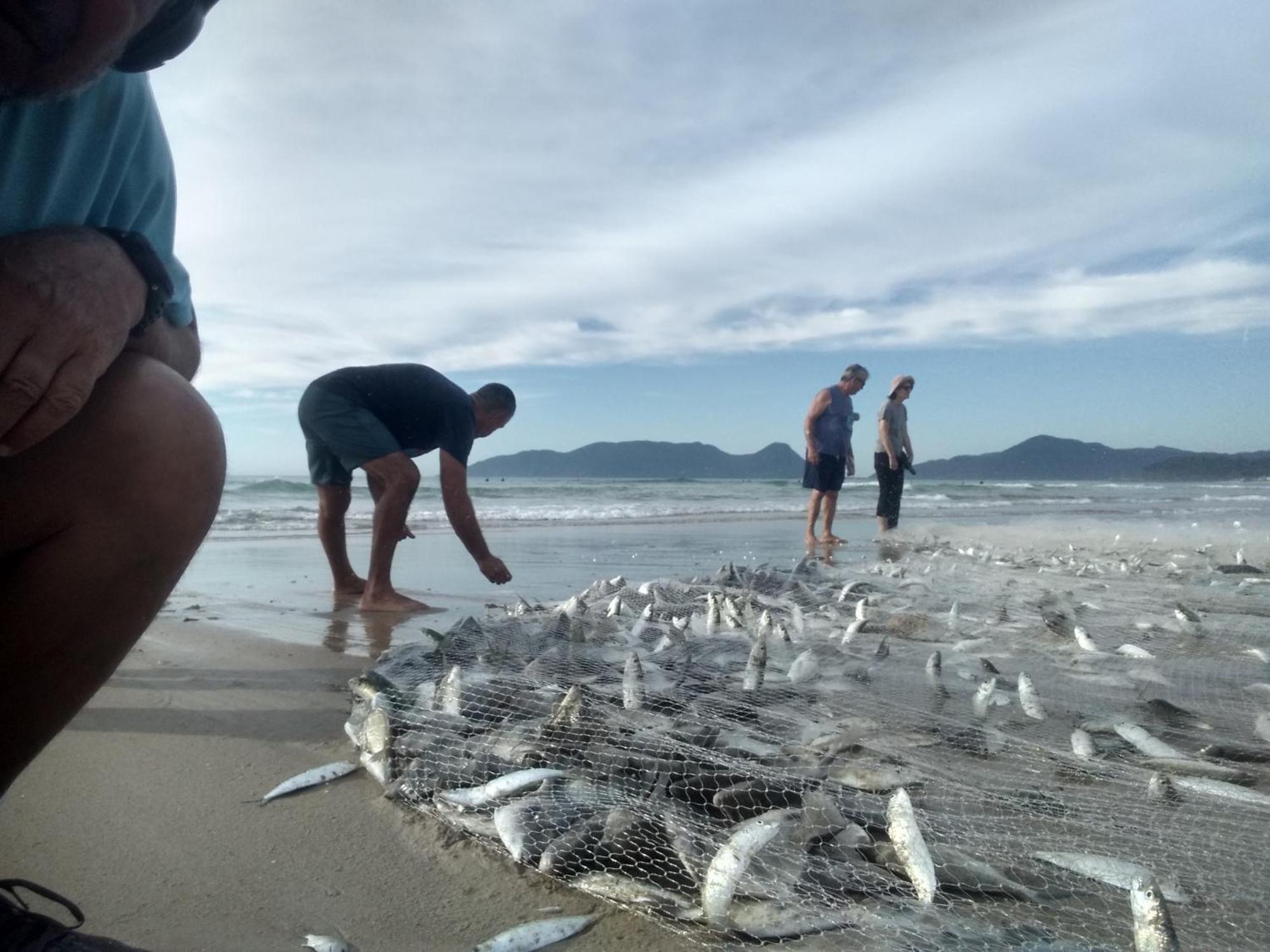 Charmoso E Moderno No Paraiso E Proximo Ao Aeroporto Florianópolis Exteriör bild